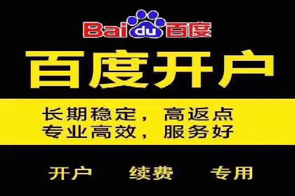 百度推广平台案例分析：效果显著的成功案例